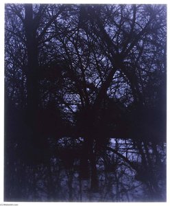 Tiergarten West Berlin, From The Series Stadt Des Schwartz — John Ralph Gossage