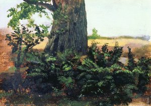 Ferns — Ivan Ivanovich Shishkin
