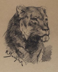 Head Of A Lion 1 — Rosa Bonheur