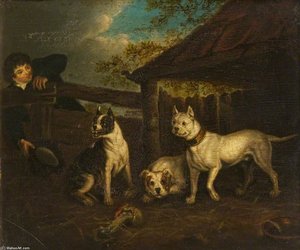 Boy With Three Bullmastiffs