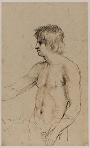 Nude Figure Of A Young Man — Guercino