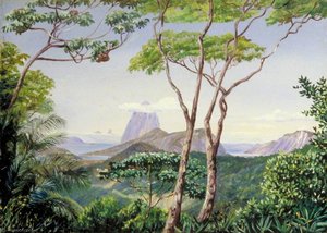 View Of The Sugarloaf Mountain From The Aqueduct Road, Rio Janeiro — Marianne North, Pre-raphaelite Landscape