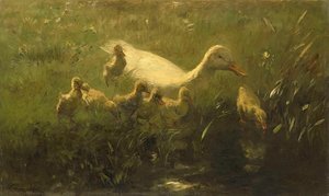 Witte Eend Met Kiekens, Willem Maris, 1880 - 1910 — Willem Maris