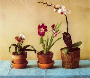 Untitled (602) — Claudio Bravo