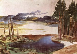 Teich Im Wald — Albrecht Dürer