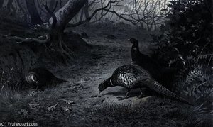 Pheasant On A Woodland Path, Late Autumn — Archibald Thorburn