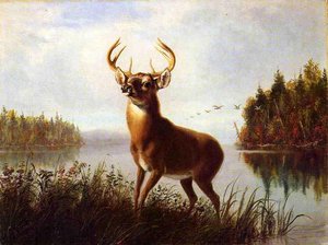 Eight Point Stag — Arthur Fitzwilliam Tait