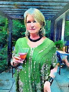Martha Stewart — Norman Sunshine