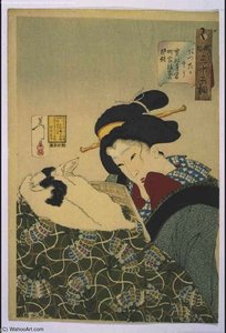 Looks Cozy — Tsukioka Yoshitoshi
