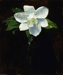 Magnolia — Charles Walter Stetson