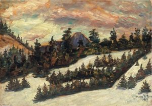 Pine-forest — István Nagy