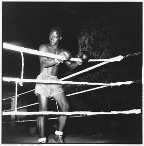 Boxer