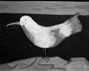 Bird
