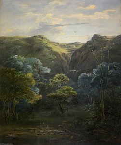 Forest Scene Near Ankobar — Johann Martin Bernatz