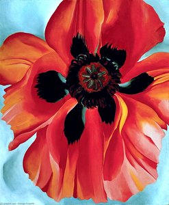 Red Poppy Vi — Georgia O'keeffe, Precisionism