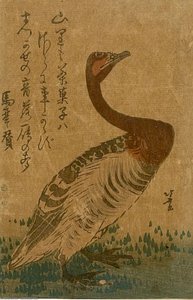 Enten — Katsushika Hokusai