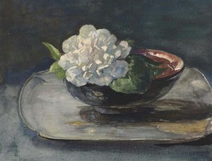 White Camellia In A Red And Black Lacquer Bowl — John La Farge