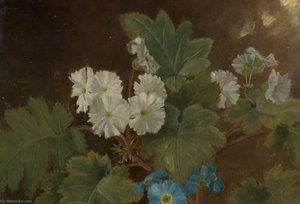 Study Of Flowers — Francis E Chardon