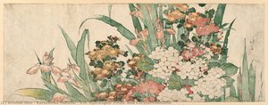 Iris, Hortensie, Nelken Und Chrysanthemen — Katsushika Hokusai