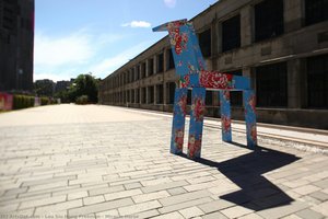 Miracle Horse — Lau Siu Hong Freeman