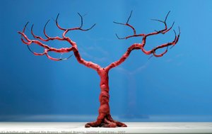 Miguel Branco: Untitled (red Tree), 2007 — Miguel Rio Branco