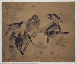 Mynah Birds Attacking An Owl — Sesson Shūkei