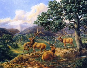 Four Elk — Titian Ramsay Peale Ii, Romantic Landscape Romantic Landscape