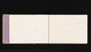 Flower, Plant And Landscape Sketches From Life — Xie Zhiliu