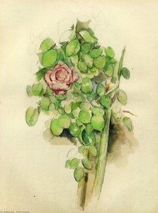 Rose Bush — Paul Cézanne