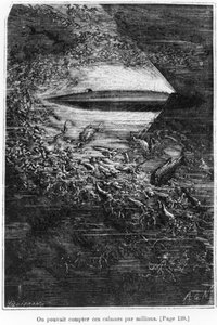 Leagues Under The Sea - — Alphonse De Neuville