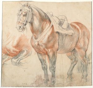 Etude Of Horse — Peter Paul Rubens