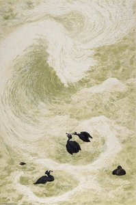 Surf Scoters — Janet E Turner