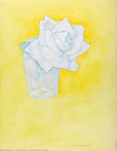 White Rose In A Glass — Piet Mondrian, Fauvism