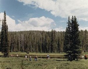 Yellowstone National Park — Joel Sternfeld