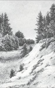 In Sestroretsk — Ivan Ivanovich Shishkin