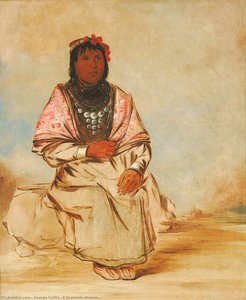 Eine Seminolen-frau — George Catlin, Zeitgenössischer Realismus