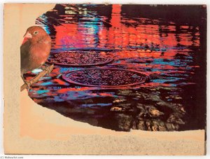Untitled (rainy street with sewer covers)