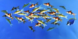 Tropical Fish 5 — Celia Wilkinson, Contemporary Realism