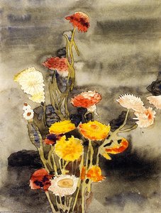 Strawflowers (also Known As Flowers -2) — Čarls Demut