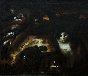 Cat, Tortoises And Birds — Giovanni Benedetto Castiglione, Baroque