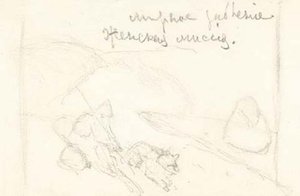 Sketch Of Scene From Ancient Life 3 — Nicholas Roerich