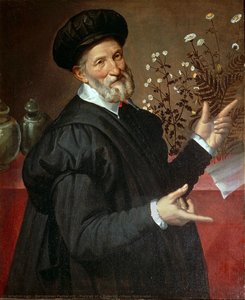 Portrait of a Botanist (Ulisse Aldrovandi.)