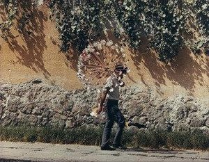 The Pinwheels