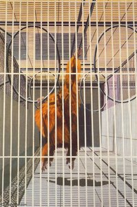 Untitled (783) — Gilles Aillaud