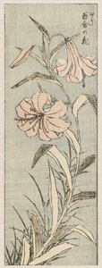 Yuri No Hana — Katsushika Hokusai