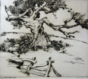 In An Old Orchard