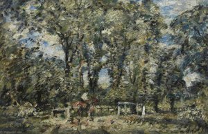 Woodland Scene — David Muirhead