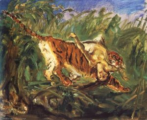 Tiger in the Jungle