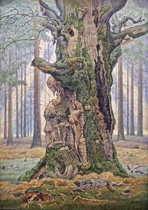 Deutsch Heilige Buche — Albert Koenig