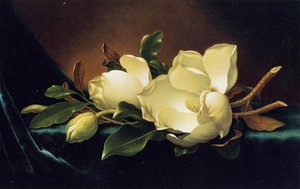 Two Magnolias And A Bud On Teal Velvet — Martin Johnson Heade